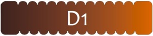 d1.profil